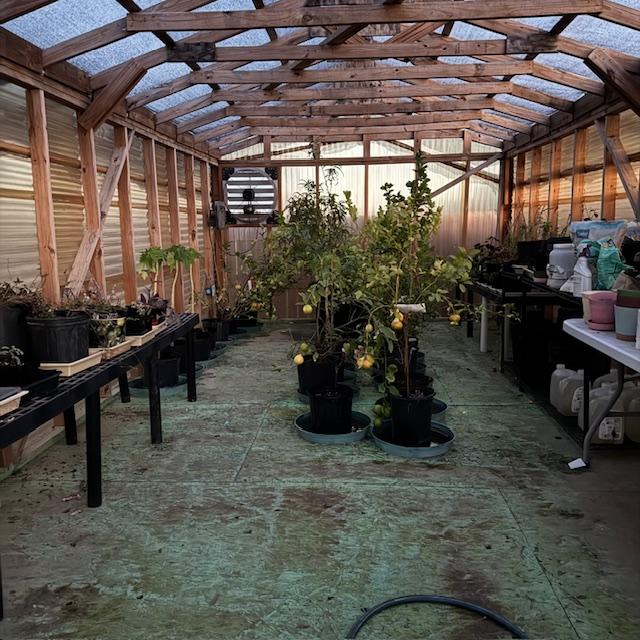 Some of the plants in the greenhouses are part of our business. Some of the plants in the greenhouses are part of our business.