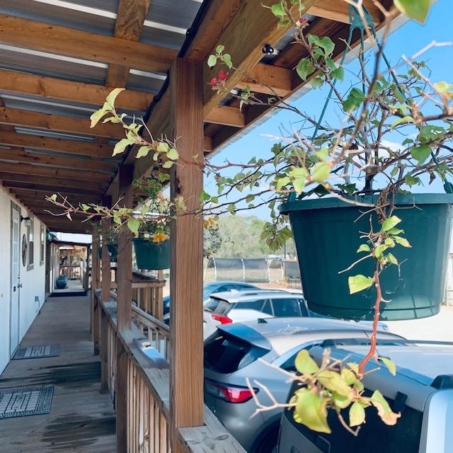 We hung our decorative plants back up this week since danger of frost has now passed.
