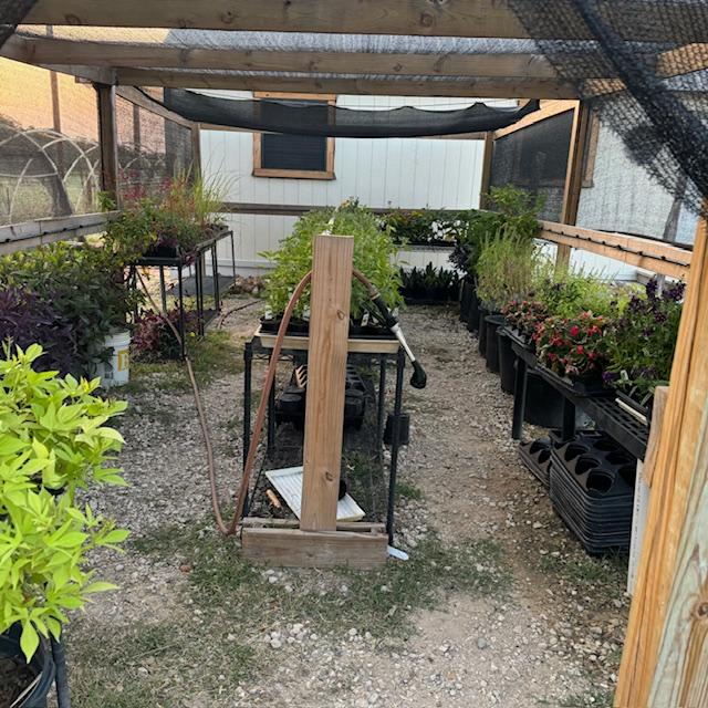 We have many vegetable plants for fall now starting at $3.99 per plant. Flowers are different prices. We have lots to choose from.