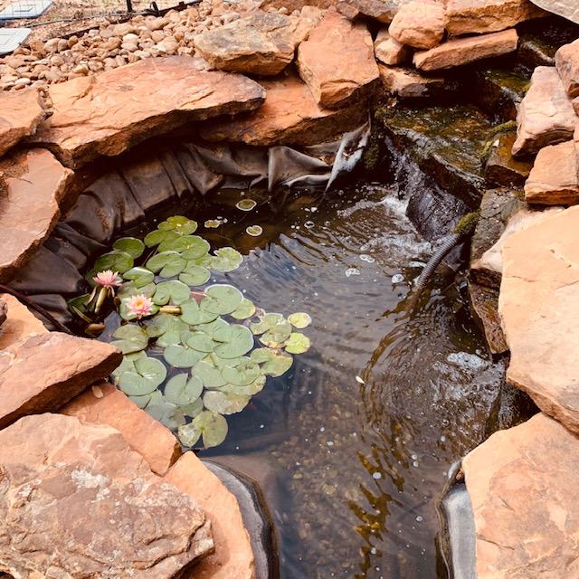 I cleaned the pond filter but now it needs to be filled up again...