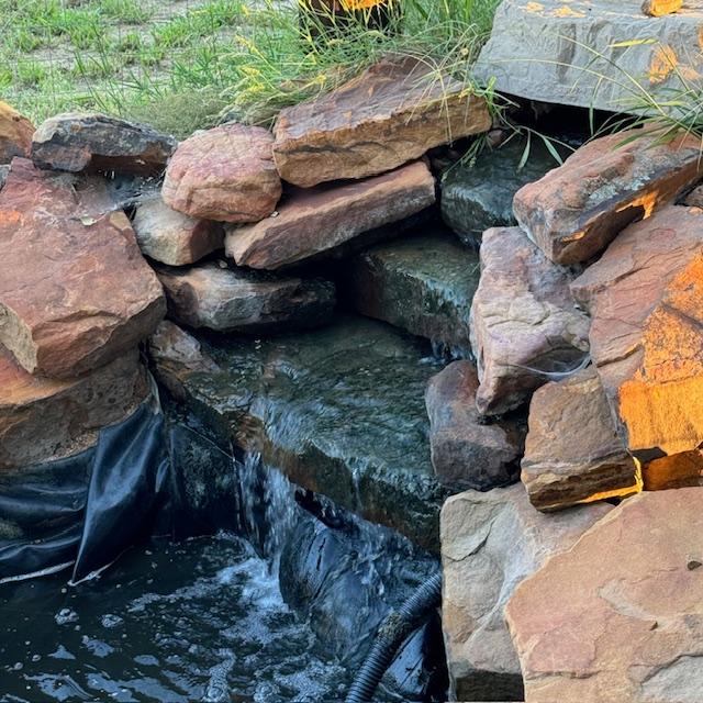 Most of the grass is gone now and see the thing on the water hose...