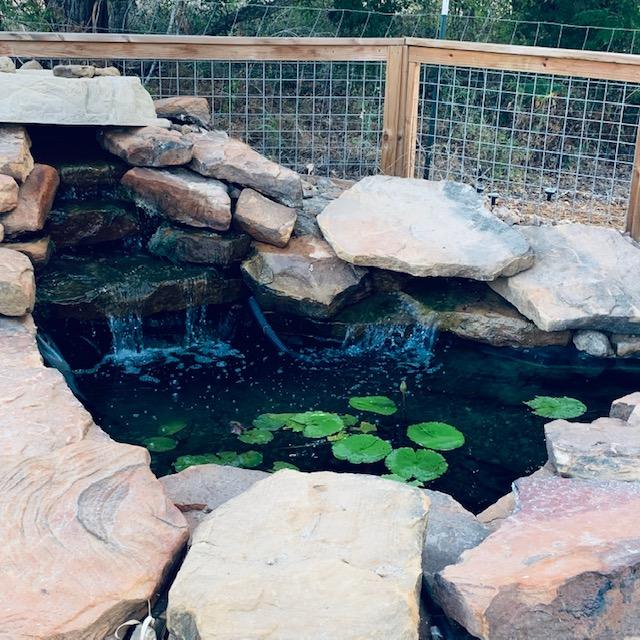 A different angle of the pond with falls. Note the new light rock topper in place of  the extremely heavy rock to clean the sponge filters easily for our fourth year.
