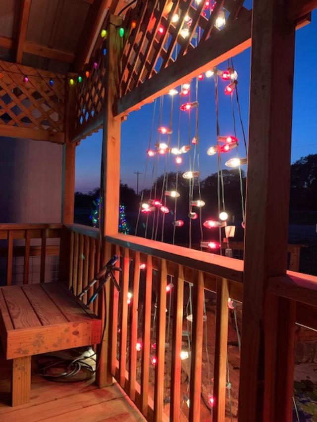 Sitting at the gazebo by the pond waiting for it to fill. Nacho made a red and white Christmas tree right here at the pond.