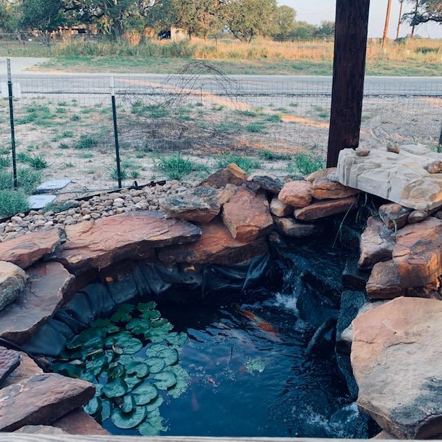 Here is our pond. Note the old fencing material in front of it.