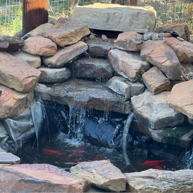 Matt unjammed the pond pump. A new sideways pump will be here tomorrow.