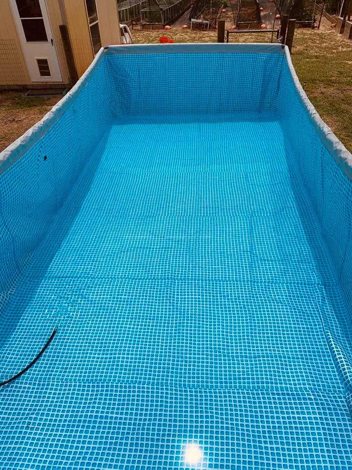 Filling the pool...