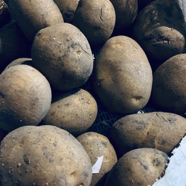 German Butterball German Butterball