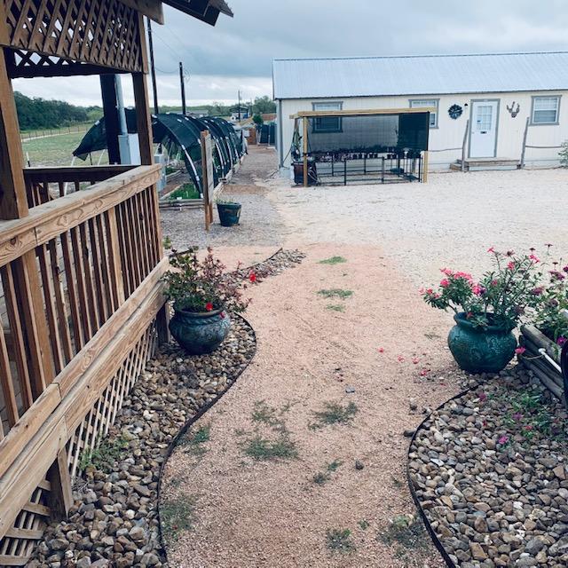 Container garden ideas with large flower bushes in big pots out front by the gazebo and by the Farm Store.