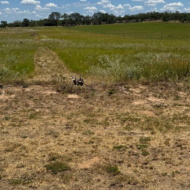 Just a few weeks ago, this was green and lush. We need rain...This is just how our farm looked six years ago when we bought it. Just a few weeks ago, this was green and lush. We need rain...This is just how our farm looked six years ago when we bought it.