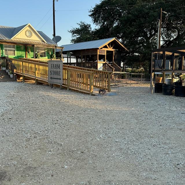 The puppies enjoy running up our $2,000 ramp. People don't use it so why not?