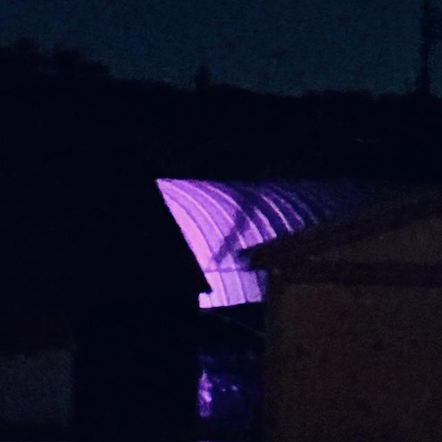 The high tunnel glowing purple at night looks a bit spooky in the dark.