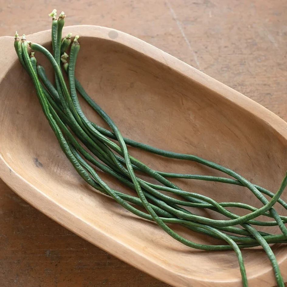 This yard long bean is the Python.