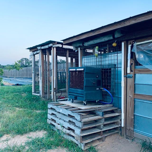 The A/C on the rabbit shed. To the left is the guinea coop. Rabbits die if they get too hot.