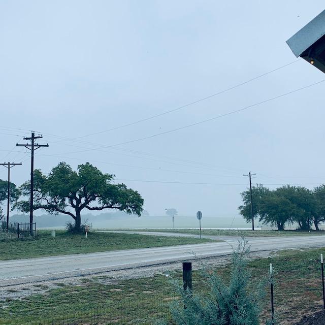 The grass farm is diagonally across from our farm. It is always pretty to look at. Today it is raining, making the grass farm look hazy.