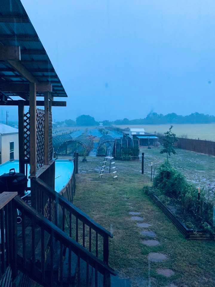 Woke up to pouring rain in the dark. Here it is light finally around 7:20am, still pouring.