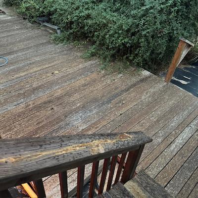 It was just starting to rain when I took Ethel outside this morning.