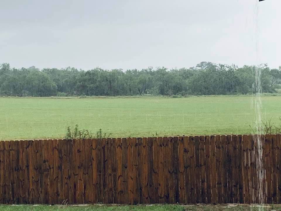The rain is pouring out here, keeping the farm green.
