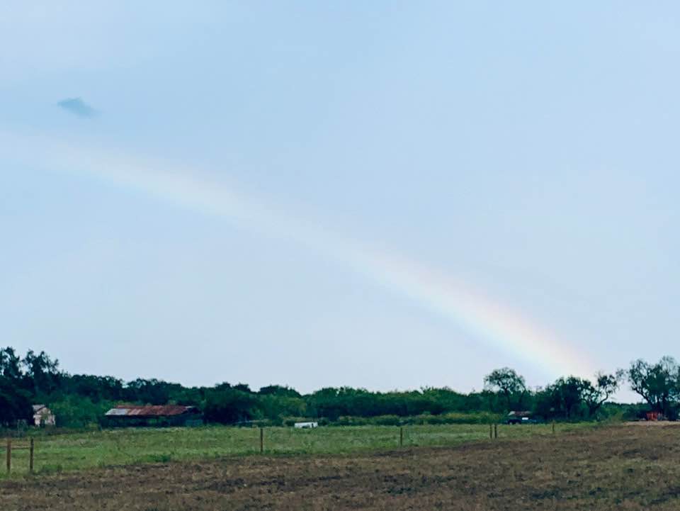 Here is the beautiful rainbow God gave us today on the family farm home (shed-shack). One day this place will be awesome.