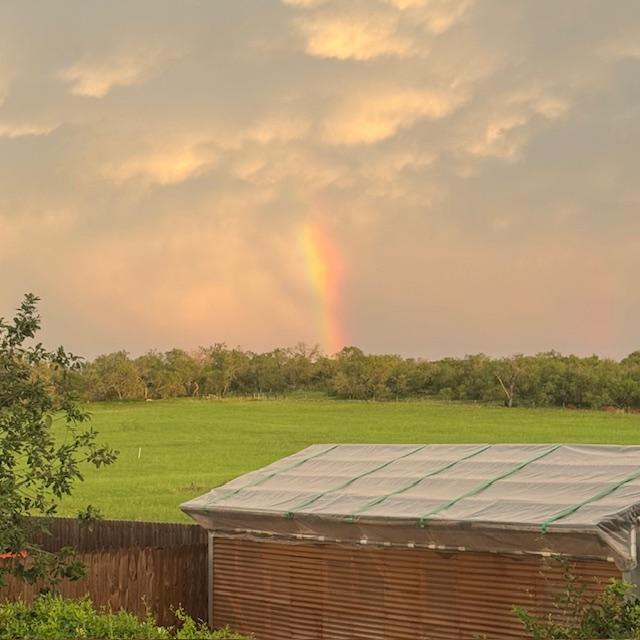 Finally got a beautiful rainbow this evening.