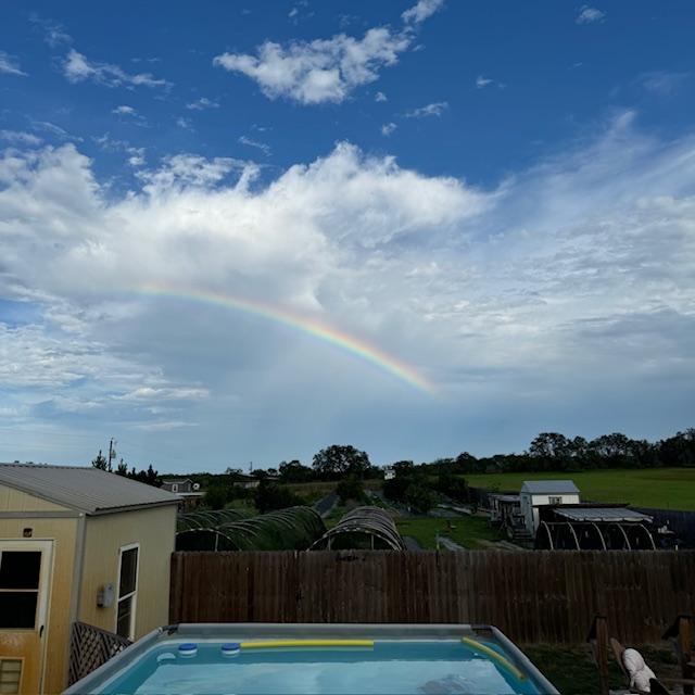 This partial rainbow was vibrant and exciting but only lasted a few minutes. Photos never seem to do them justice.