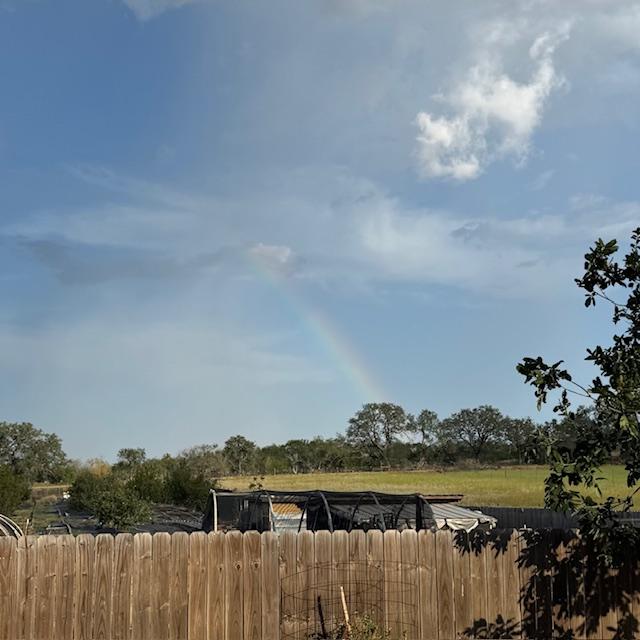 I wish we got some rain. All we got was the rainbow.