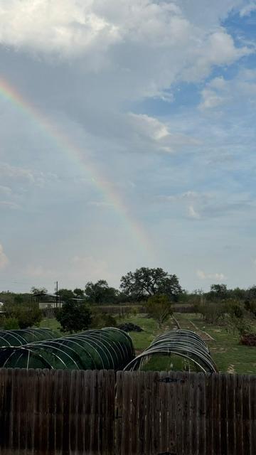 We got a beautiful rainbow this evening but no rain.