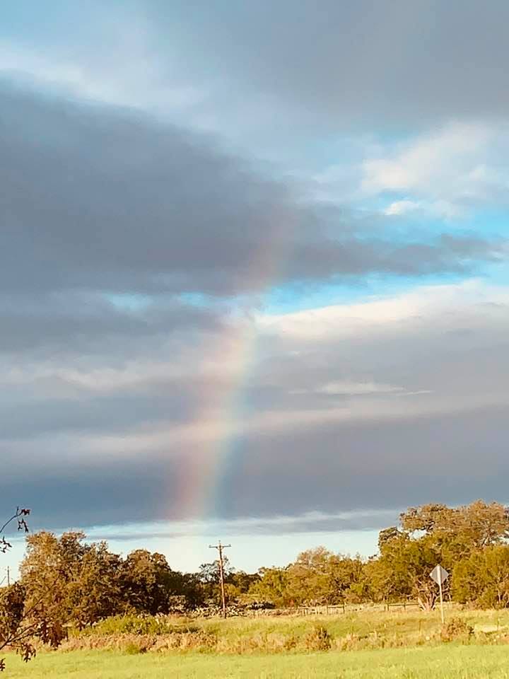Look at this spectacular rainbow I saw today!