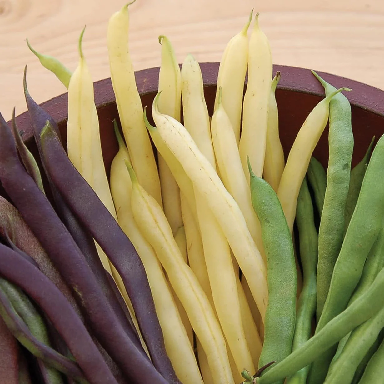 The Rainbow Pole Bean seed pack includes seeds that produce yellow, green, and purple pole beans.