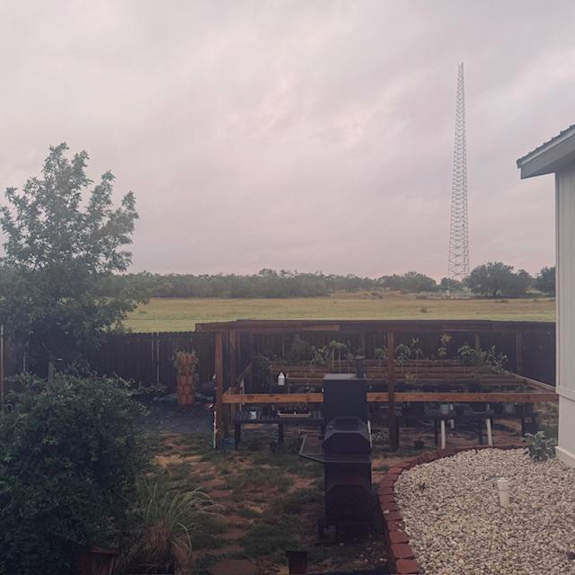 Out with the dogs this afternoon and the rain is coming down.