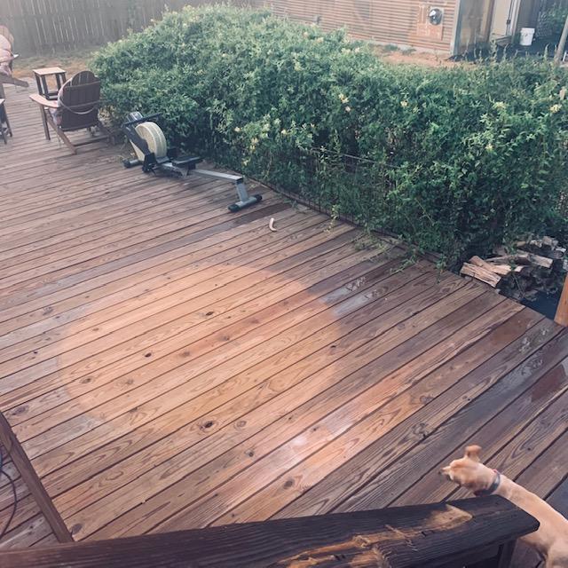 Ethel is on the deck investigating the rain we got overnight. It wasn't much but it is the first rain we have had here in over a month.