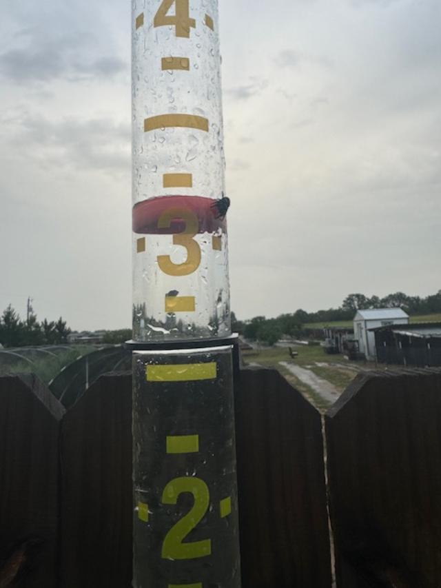 Look where the orange ring is--above three inches! I emptied this early this morning before any rain. Look where the orange ring is--above three inches! I emptied this early this morning before any rain.