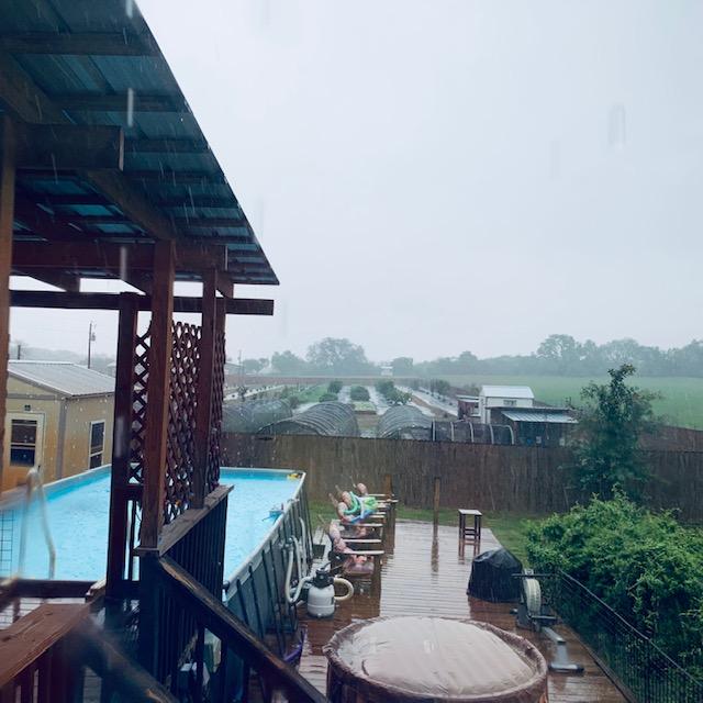 The rain came down heavy to help germinate the fall garden seeds we already have in the ground.