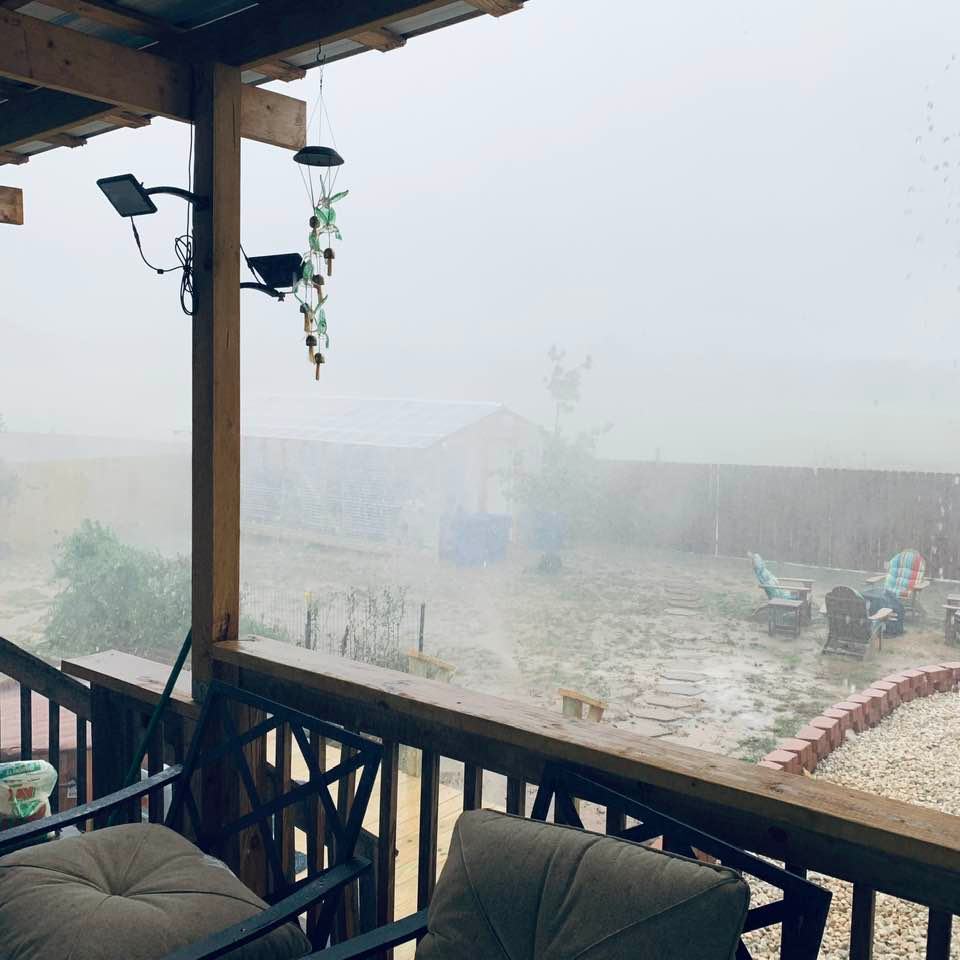 It is foggy and rainy and oh so cold!