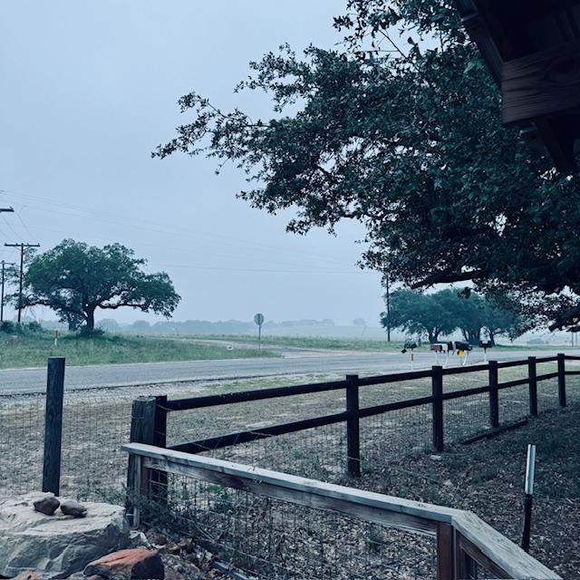 The rainy view from the pond this morning as I fed the fish.
