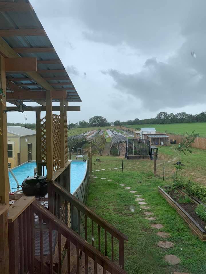 This spring is chilly and wet, so unusual.