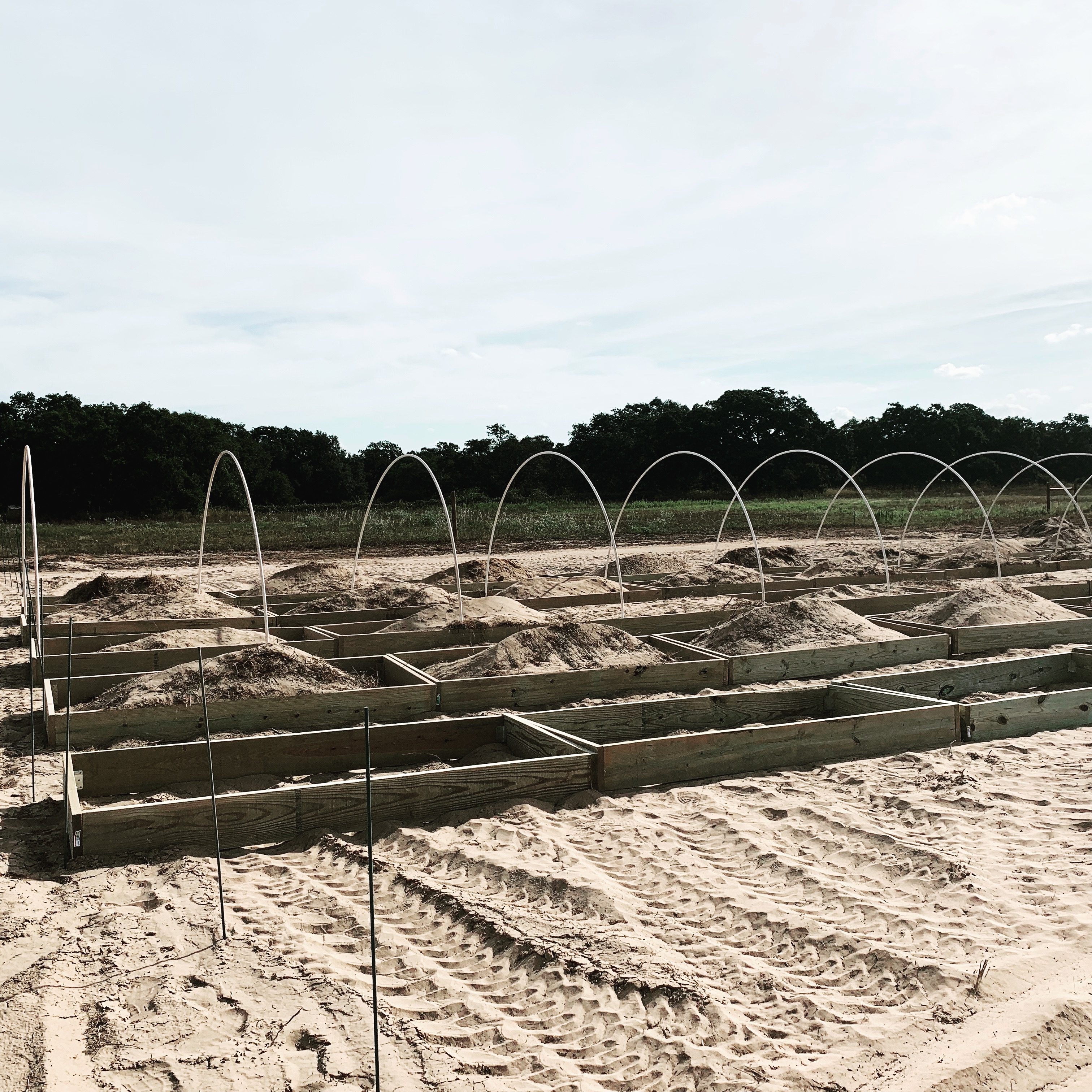 Raised beds are being filled with sand. You can see our neighbor's tractor tire prints in the sand.