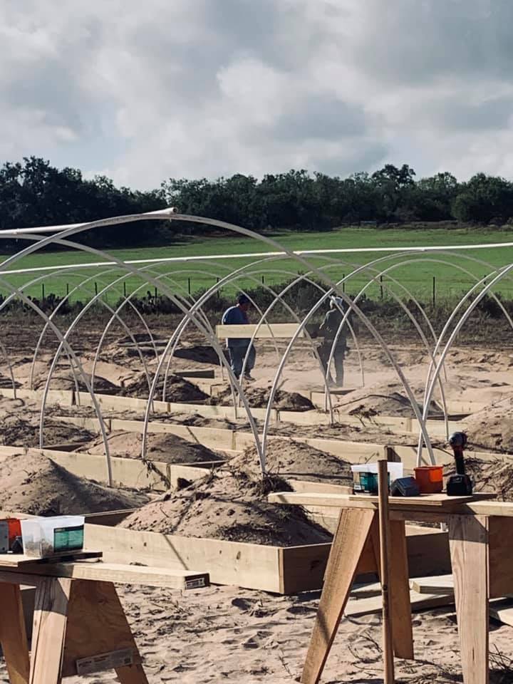 Filling 100 raised beds with sand was a big undertaking but it was one of the first things we did for homesteading in Texas.