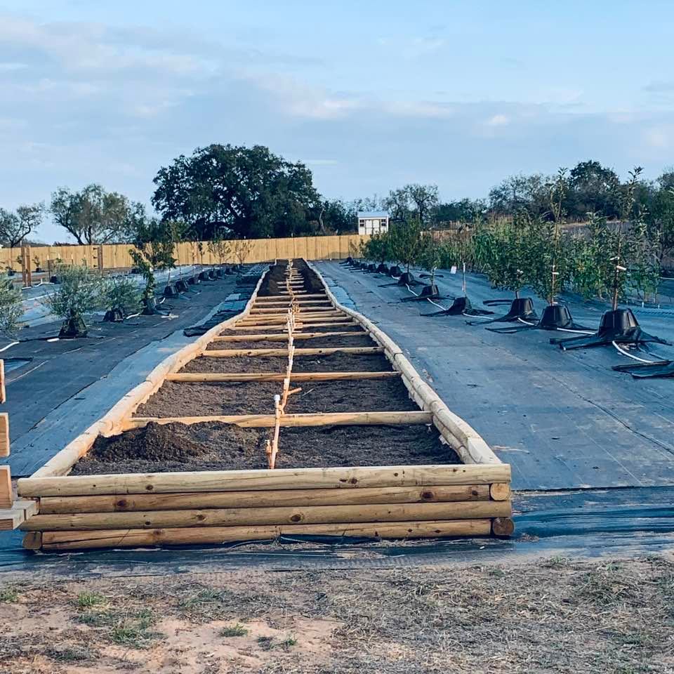 Joshua crushed the November garden chores today by emptying out Nacho's trailer full of dirt and emptying it all into the giant raised garden bed. Now we need more!