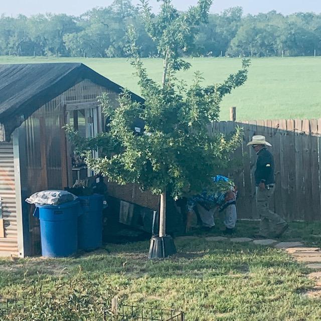 David, Nacho, Leonard, and Roger moving the large AC out of my greenhouse. It will be put in front of my outdoor plant area to keep me cool when I need it. Too wet for indoor use.