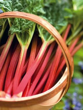 This is rhubarb. Do not eat the leaves as they are toxic. The pink stalks make a great pie, especially when they are combined with strawberries. This is rhubarb. Do not eat the leaves as they are toxic. The pink stalks make a great pie, especially when they are combined with strawberries.