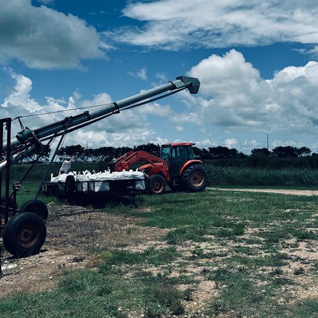 The rice husks are in bags that you can buy to mix in with your soil.