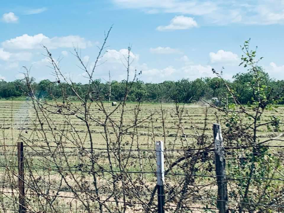 Since moving out of the house in San Antonio, our business growth has been through the roof. We are loving farm life and our visitors love it, too. Since moving out of the house in San Antonio, our business growth has been through the roof. We are loving farm life and our visitors love it, too.