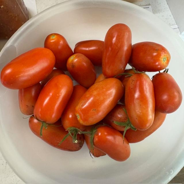 These romas came out of our garden.