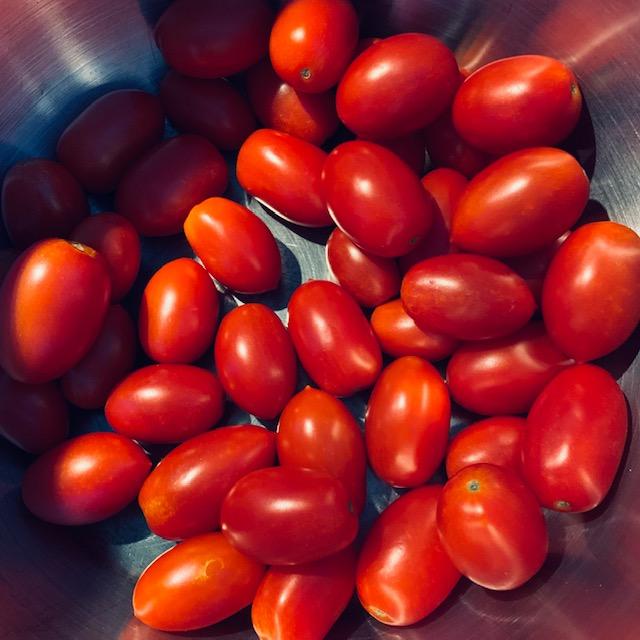 These are roma tomatoes from our garden. They are beautiful, firm, without bruises and spots. Folks, this is what salsa and other sauces are made from.