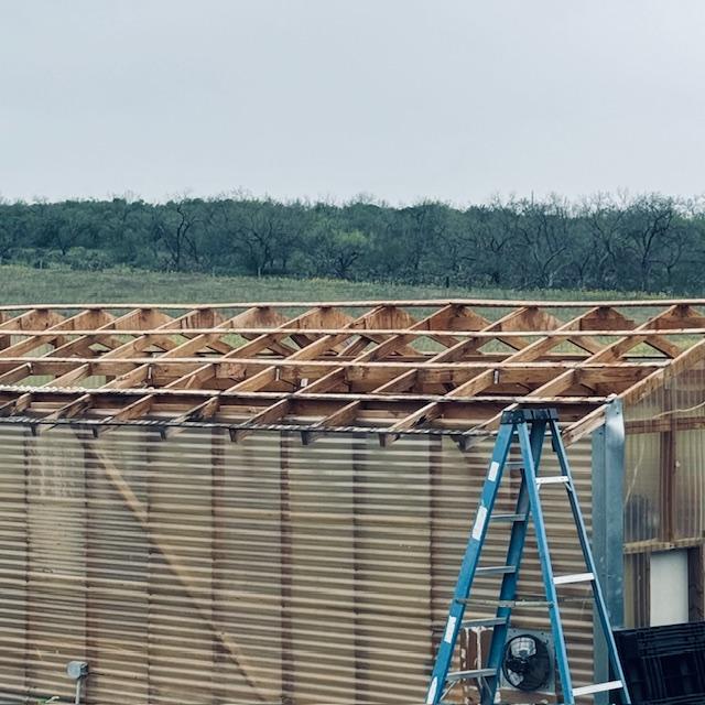 The roof has been removed from my greenhouse.