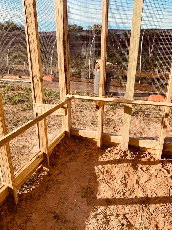 Roosting bars in front and on the side.