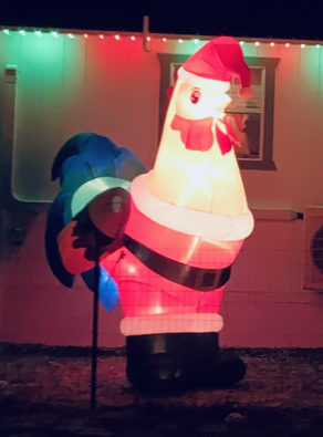 Rooster Santa is coming to town.