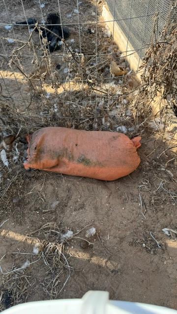 I could barely lift this sandbag. It doesn't look that heavy.