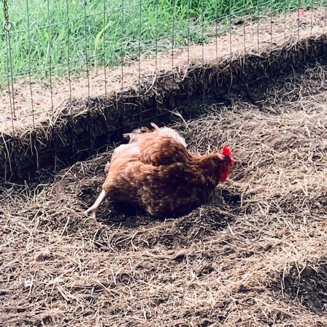 sandbath052823 sandbath052823