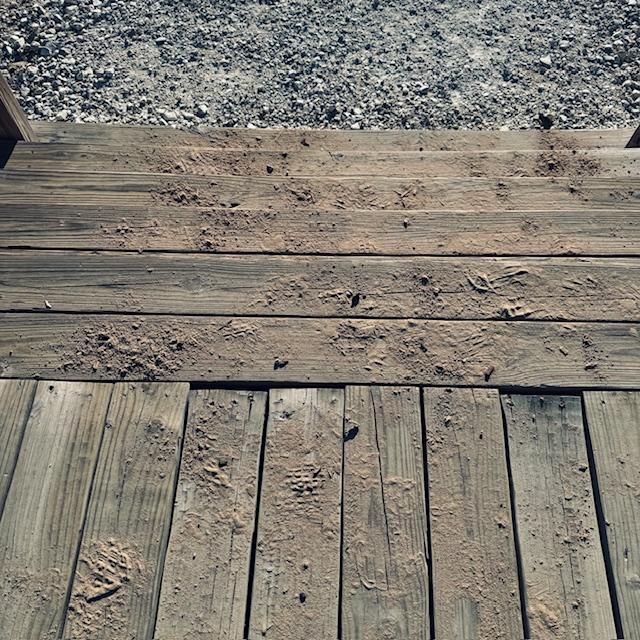 Matthew put sand from our yard down on all of the walkways and decks to melt the ice. It worked!